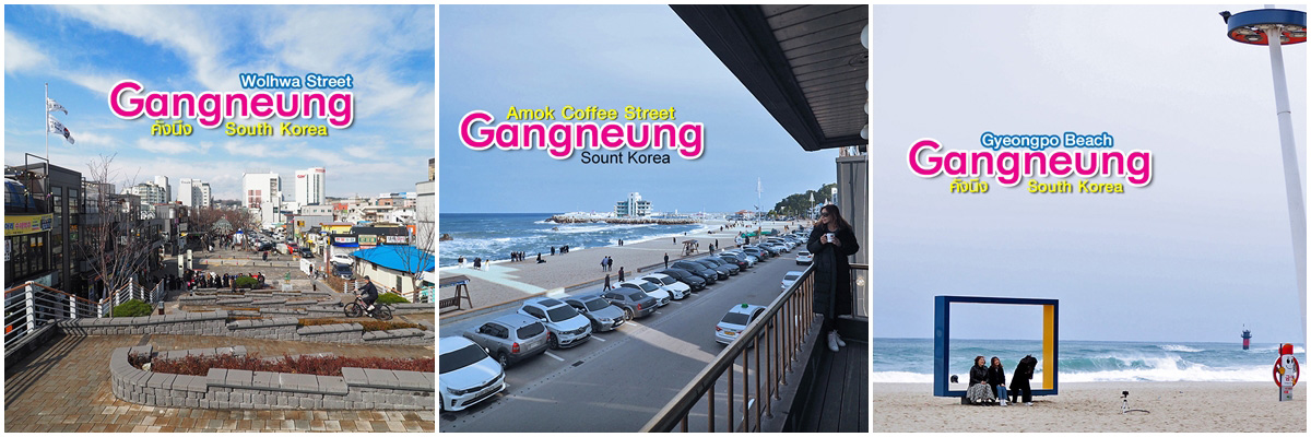 Tourist Taxi Gangneung