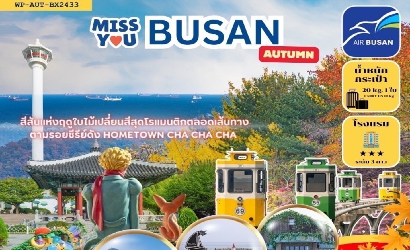 ทัวร์เกาหลี Miss You Busan Autumn (ต.ค.-พ.ย.67)